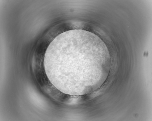 X0000093590240200711051144