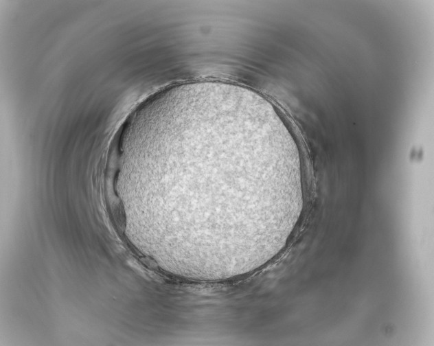 X0000093590241200711051144