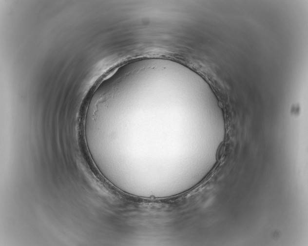 X0000093590242200711051144