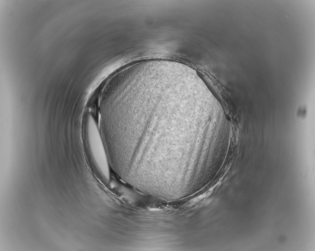 X0000093590244200711051144