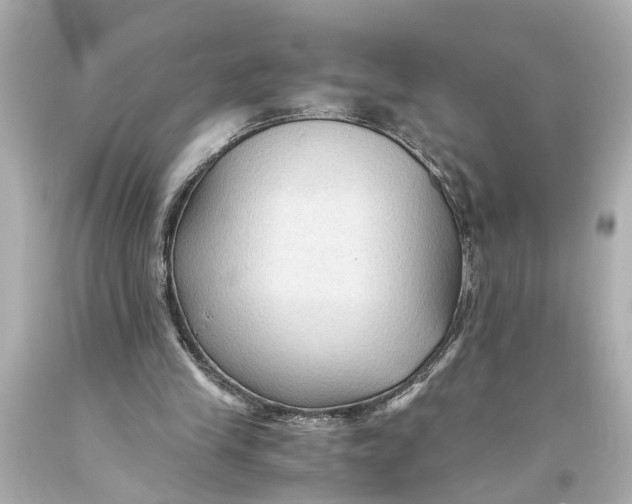 X0000093590245200711051144