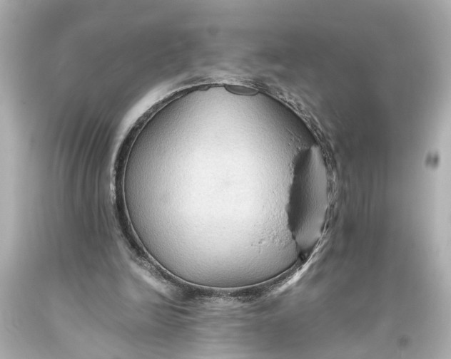 X0000093590246200711051144