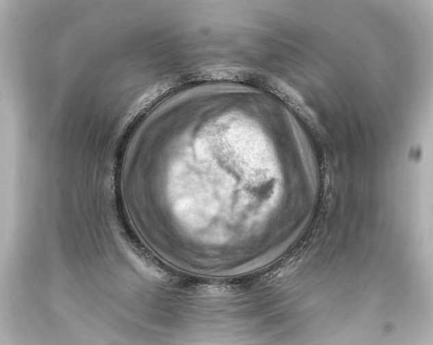 X0000093590250200711051144