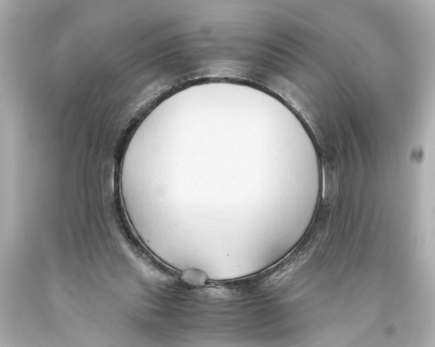 X0000093590253200711051144