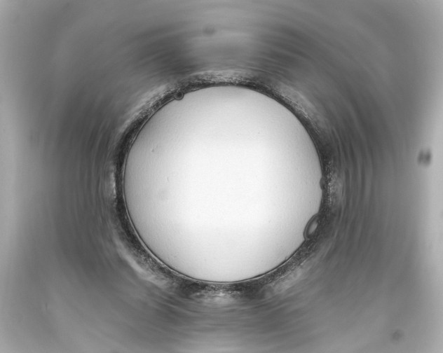 X0000093590254200711051144