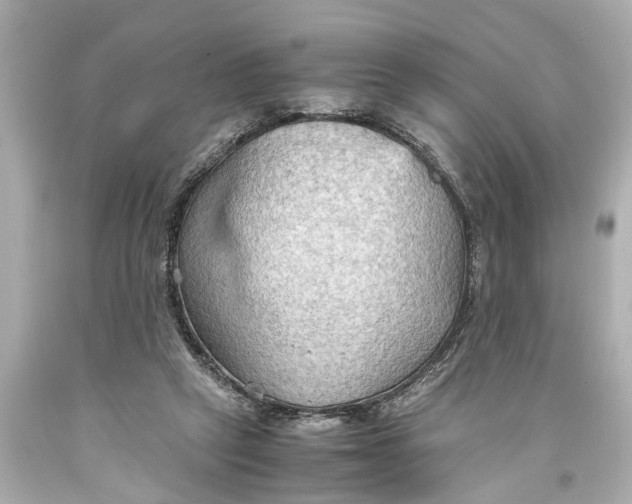 X0000093590257200711051144
