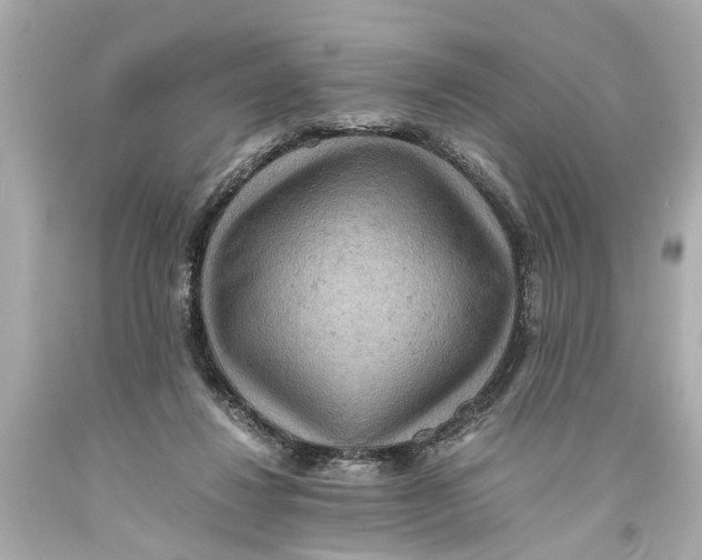 X0000093590260200711051144