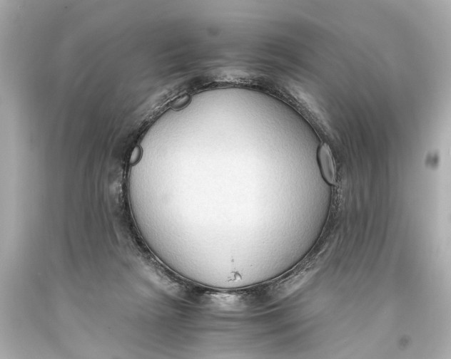 X0000093590265200711051144