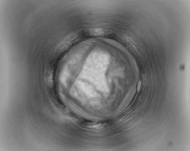 X0000093590267200711051144