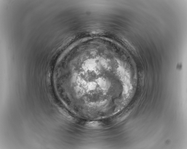 X0000093590269200711051144