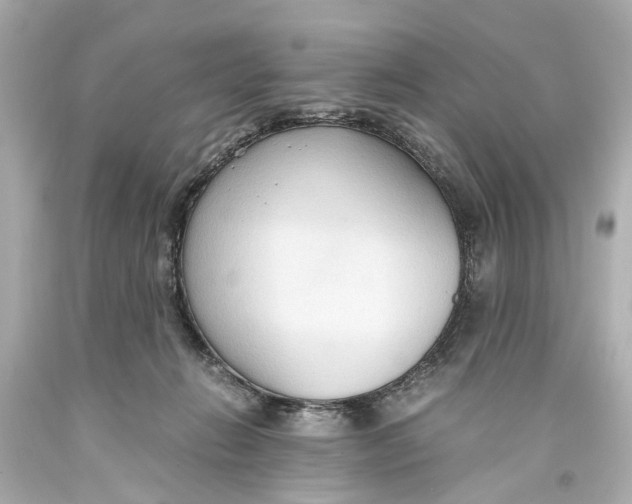 X0000093590270200711051144