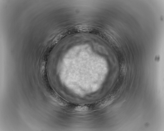X0000093590271200711051144