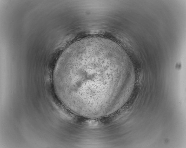 X0000093590272200711051144