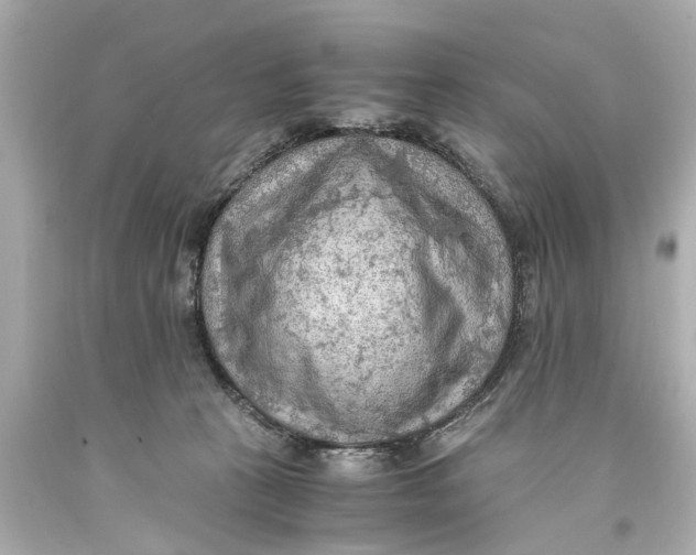 X0000093590273200711051144
