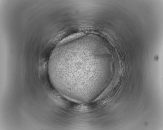 X0000093590276200711051144