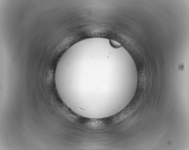 X0000093590278200711051144