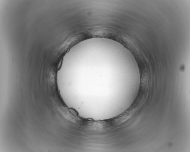 X0000093590282200711051144