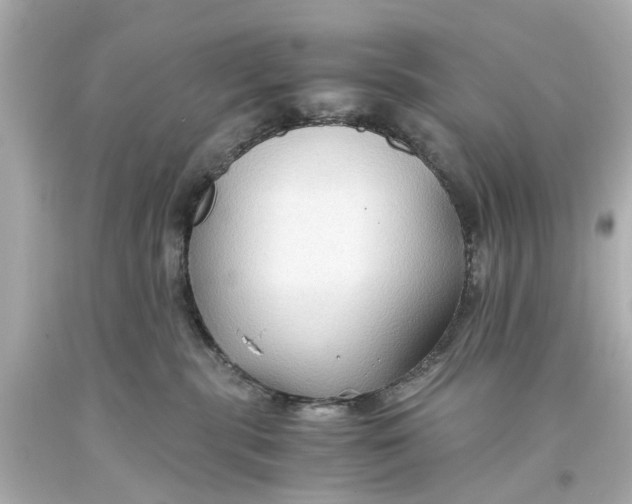 X0000093590283200711051144