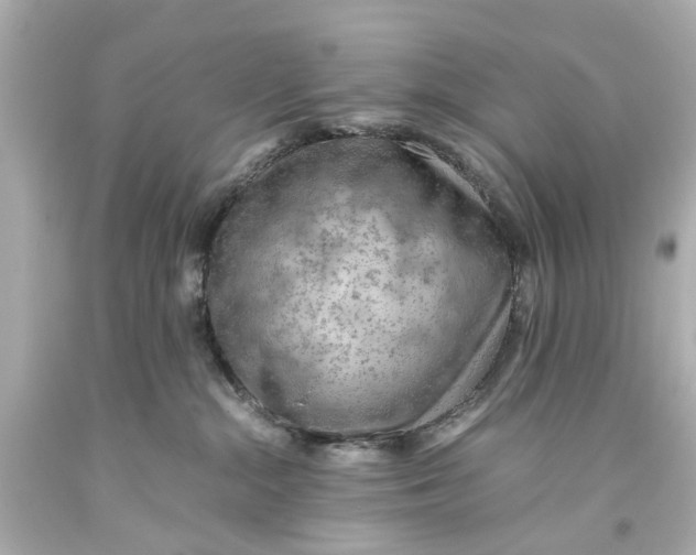 X0000093590284200711051144