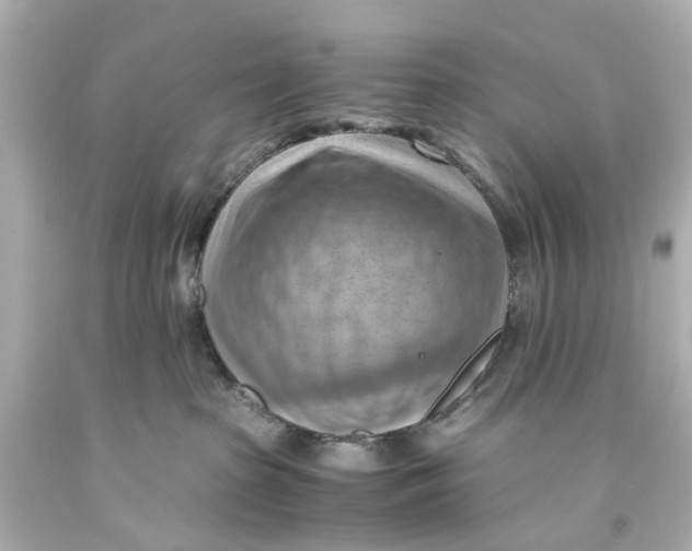 X0000093590285200711051144
