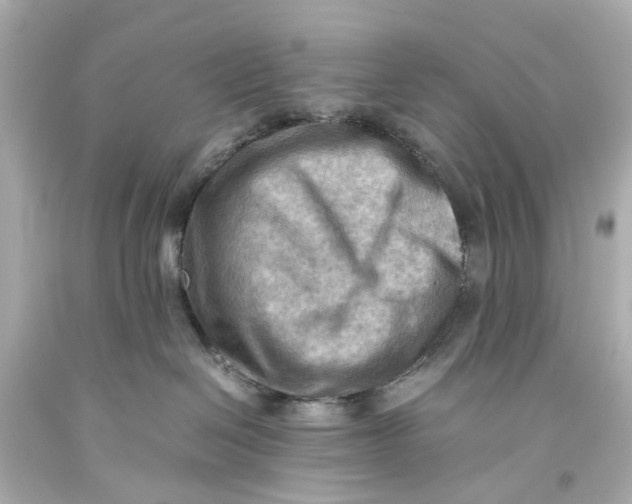 X0000093590286200711051144