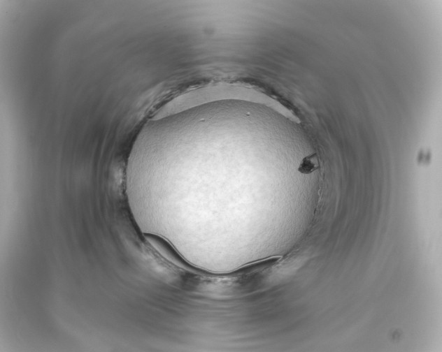 X0000093590288200711051144
