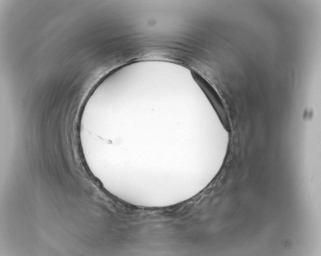 X0000093590289200711051143