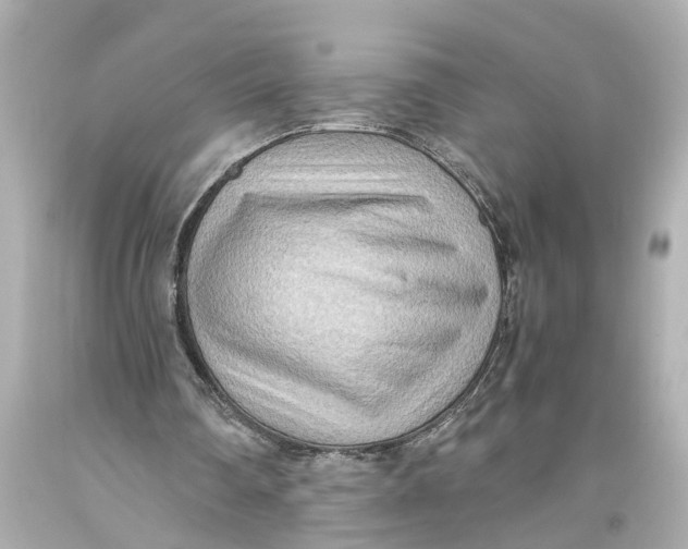 X0000093590290200711051143