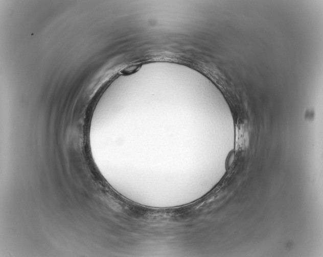 X0000093590291200711051143