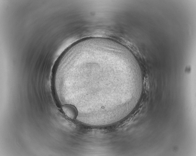 X0000093590292200711051143