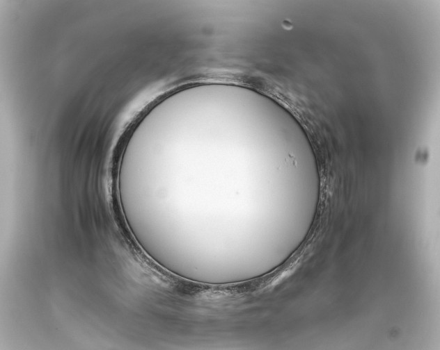 X0000093590294200711051143