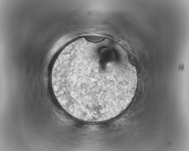 X0000093590295200711051143