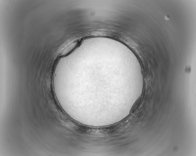 X0000093590297200711051143
