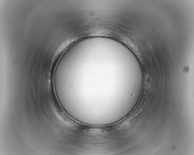 X0000093590298200711051143