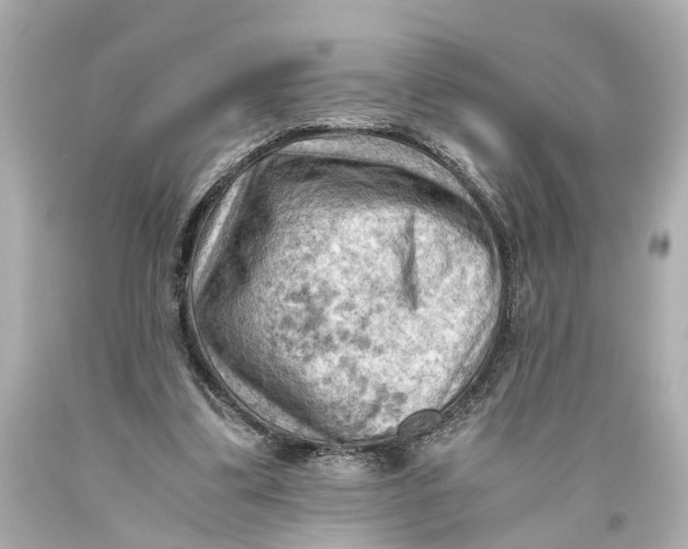 X0000093590299200711051143