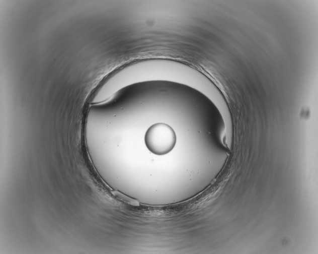 X0000093590301200711051143
