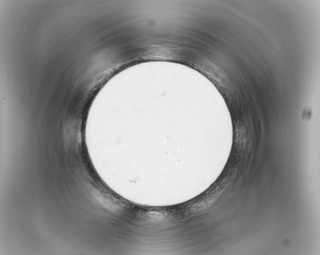X0000093590302200711051143