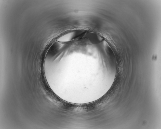 X0000093590303200711051143
