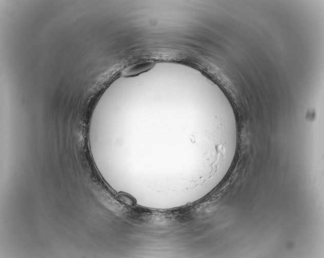 X0000093590305200711051143