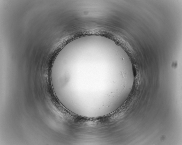 X0000093590306200711051143