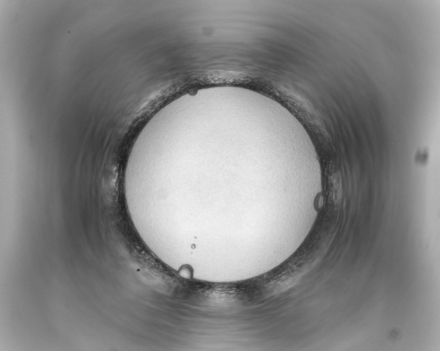 X0000093590308200711051143