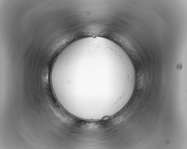 X0000093590310200711051143
