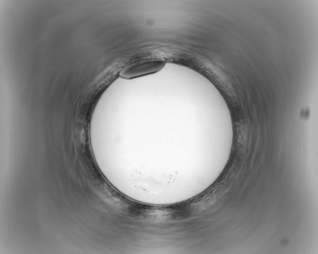 X0000093590313200711051143