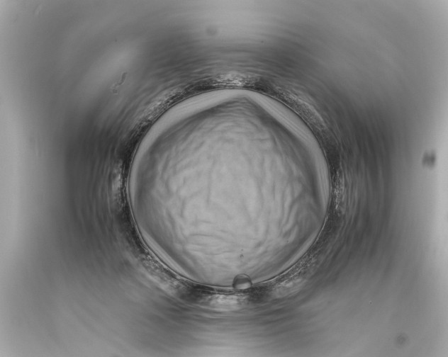 X0000093590314200711051143