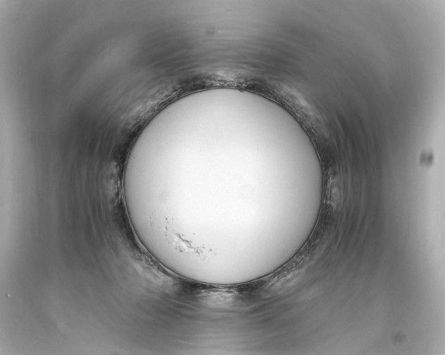X0000093590318200711051143