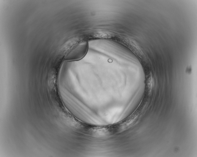 X0000093590322200711051143