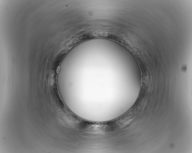 X0000093590323200711051143