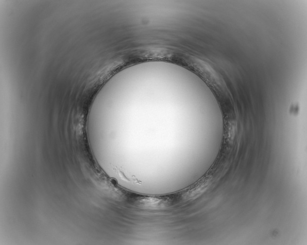 X0000093590326200711051143