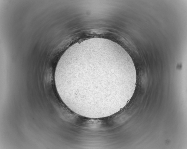 X0000093590328200711051143