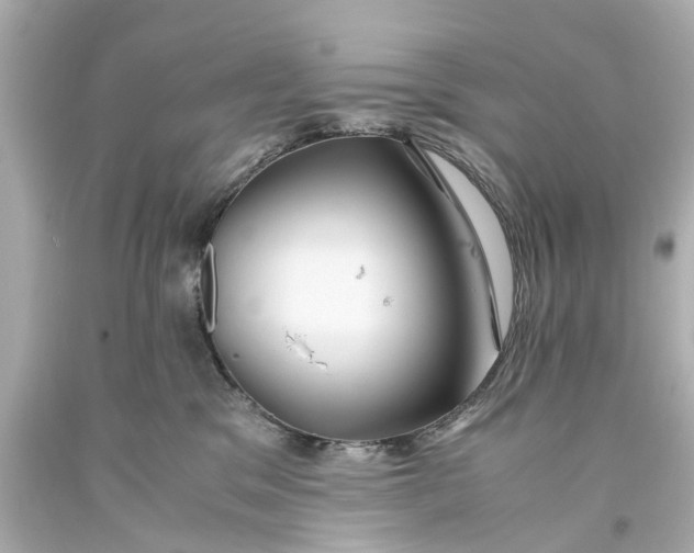 X0000093590329200711051143
